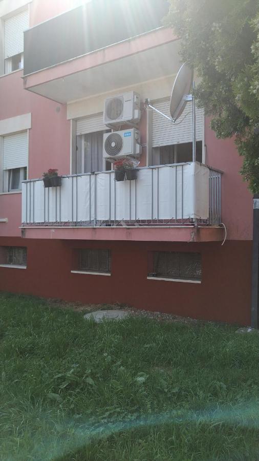 Appartamento Intero Bilocale Vicino All'Ospedale بادوفا المظهر الخارجي الصورة